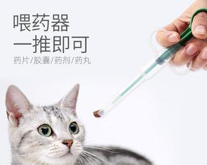 猫咪外伤处理及药物使用（以宠物为主）