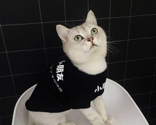 猫咪掉毛的原因及应对方法（从宠物角度分析掉毛原因）