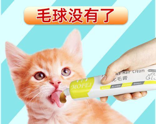 宠物猫咪胃部不适怎么办（药物治疗和日常保健的综合方法）