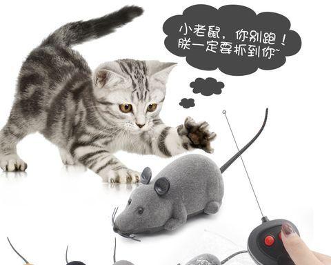 给猫咪做吃的玩具需要注意什么？怎样制作猫咪的玩具？