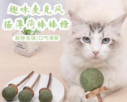 给猫咪做吃的玩具需要注意什么？怎样制作猫咪的玩具？