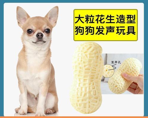 狗狗挨打时不叫怎么办？怎样判断狗狗的健康状况？