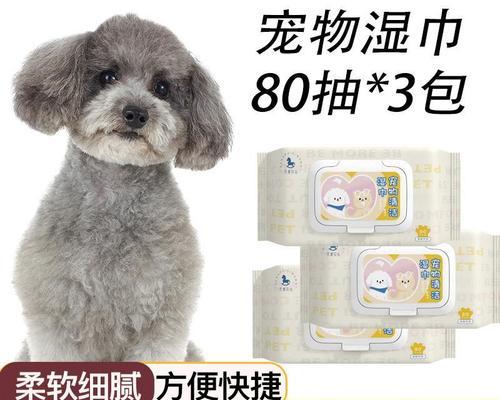 刚满月泰迪有多大？泰迪幼犬的体重标准是多少？