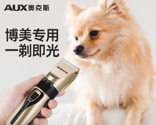 冬天给泰迪狗狗剃毛好吗？泰迪犬的美容护理有哪些注意事项？