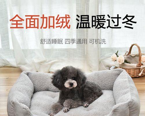 博美幼犬掉地上怎么办？博美幼犬从高处跌落如何处理？