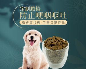 博美什么狗粮好吃？博美狗狗推荐狗粮有哪些？