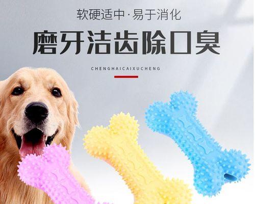 博美幼犬磨牙棒怎么选？博美幼犬磨牙棒的注意事项有哪些？