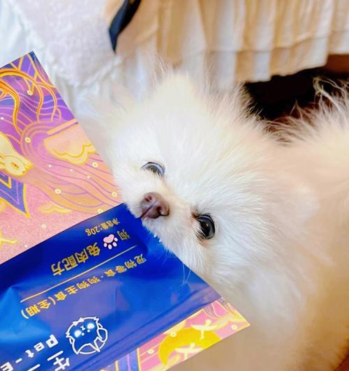 博美吃狗粮需要用水泡吗？博美犬的饮食注意事项有哪些？