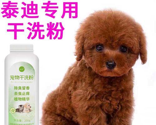 二个月泰迪洗澡吗？泰迪幼犬的洗澡注意事项有哪些？