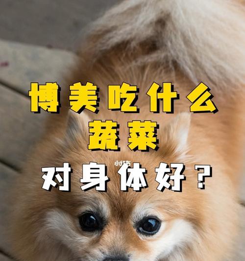 博美狗肺炎病吃什么药能好？博美犬肺炎的治疗方法有哪些？