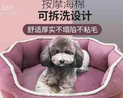 博美幼犬拉什么样大便正常？博美幼犬的健康大便是什么样的？