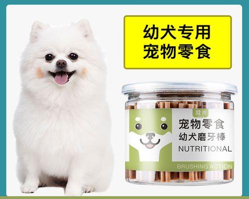 博m狗户外乱吃怎么办？怎样训练博美犬的行为？