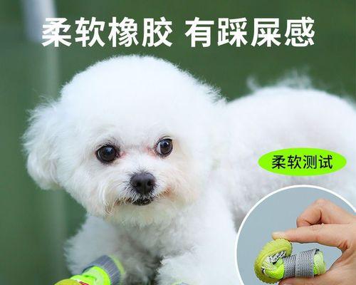 成年小型狗一餐吃多少？成年小型犬的饮食标准是什么？