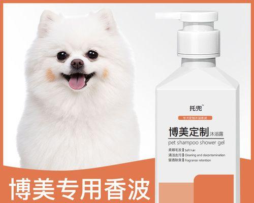 博美狗狗怀孕62天怎么办？博美犬怀孕期间的护理方法有哪些？