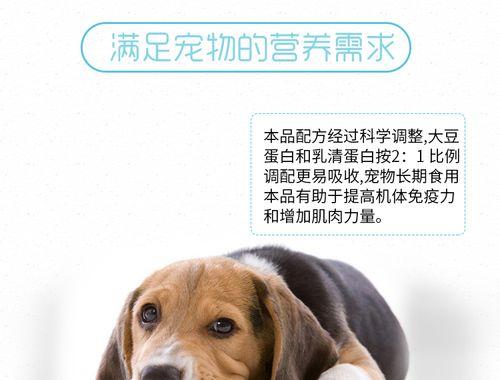 大型幼犬补钙多会怎么样？幼犬补钙过多的影响有哪些？