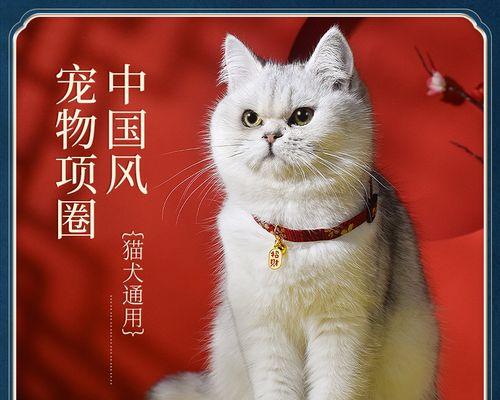 大cat为什么转移小猫？母猫转移小猫的原因有哪些？