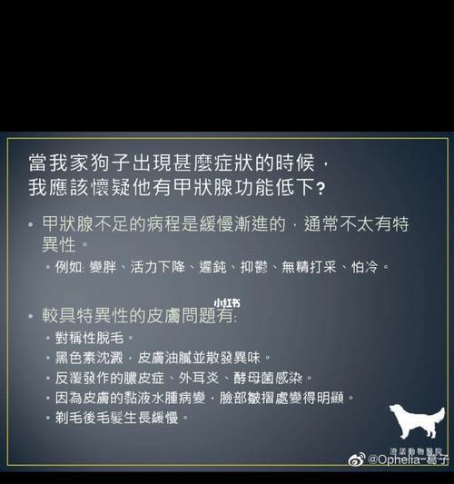 博美狗甲状腺功能减退症状有哪些？怎样判断博美犬的健康状况？