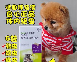 狗狗驱虫打什么针？如何选择合适的疫苗？