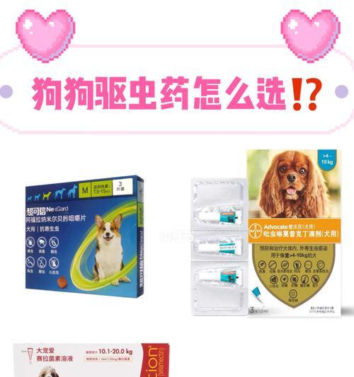 狗狗驱虫打什么针？如何选择合适的疫苗？