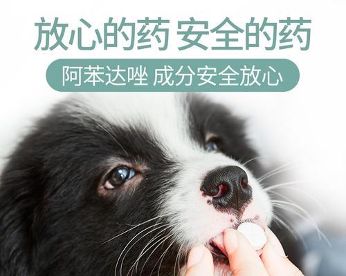 狗狗驱虫药什么好？如何选择最合适的宠物驱虫产品？