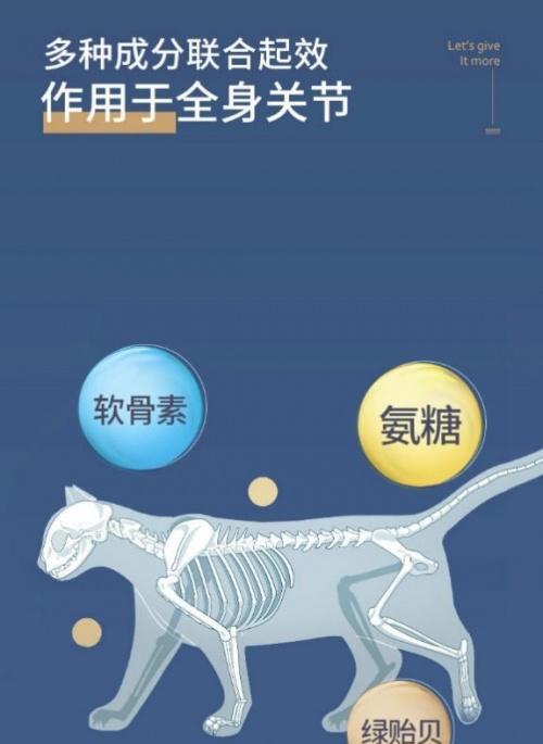 狗狗软骨素的正确喂食方法是什么？常见喂食误区有哪些？