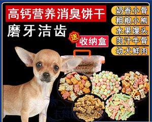 狗狗食补什么补钙？如何正确为宠物补充钙质？