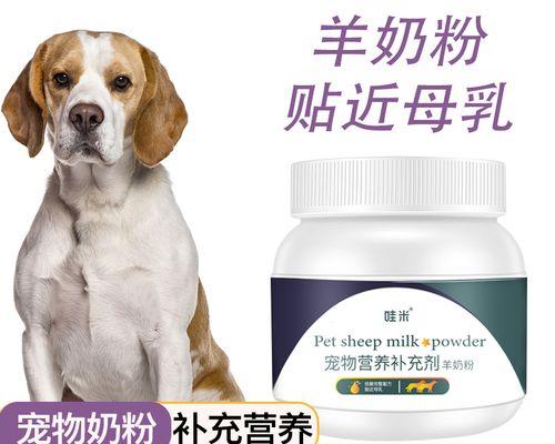 狗狗体质弱怎么补？有哪些增强免疫力的食物和方法？