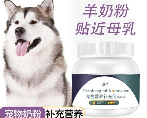 狗狗体质弱怎么补？有哪些增强免疫力的食物和方法？