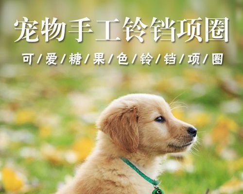 狗狗为什么舔小猫？这种行为背后的含义是什么？