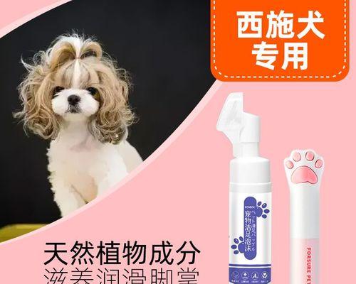 狗狗为什么要剪爪？剪爪对宠物健康有哪些好处？