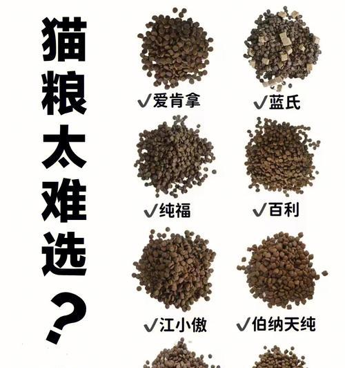 幼猫不喜猫粮：如何观察和处理？