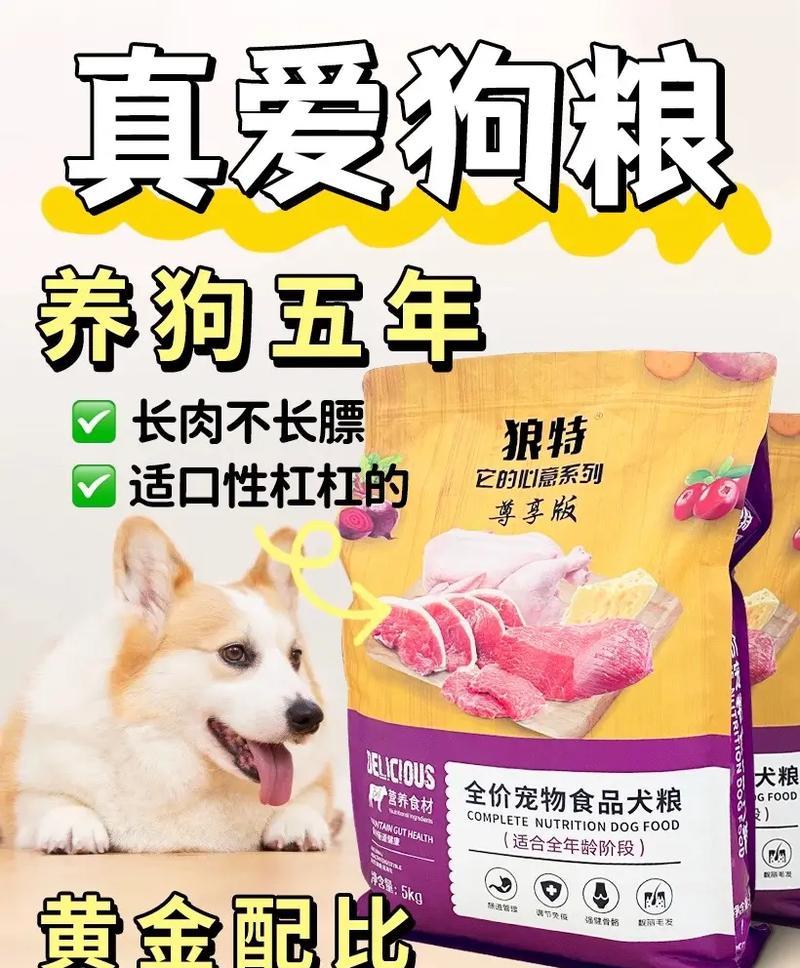 狗狗没食欲吃什么狗粮？如何纠正狗狗不吃狗粮的行为方法？