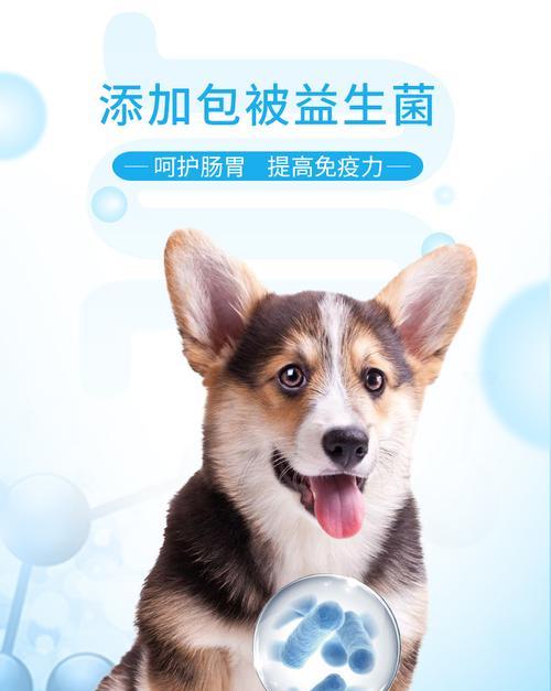 玉米面拌狗粮加蛋黄对幼犬有益吗？