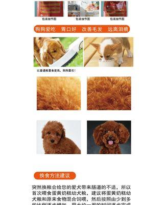 玉米面拌狗粮加蛋黄对幼犬有益吗？