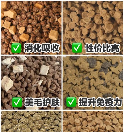 幼猫偏食猫粮：探索原因和解决办法？