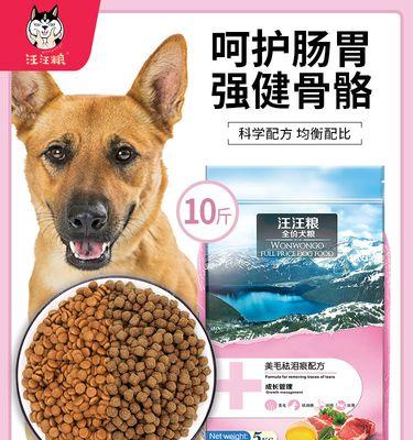 纯种土狗的健康饮食选择：哪种狗粮最合适？