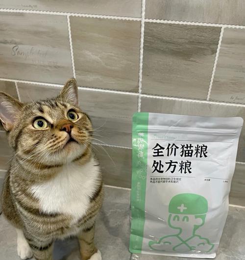 换粮后猫咪大便软不成形吃什么药好