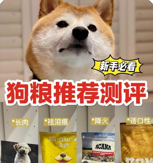 狗狗食欲不振应该选择哪种狗粮？如何改善狗狗的食欲？