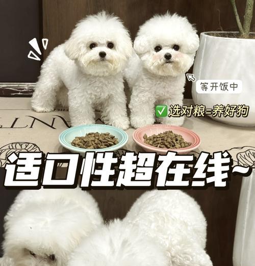 狗狗食欲不振应该选择哪种狗粮？如何改善狗狗的食欲？