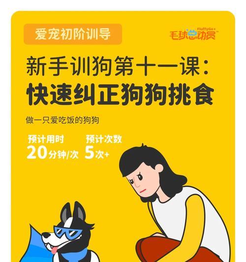 狗狗拒食狗粮的纠正方法有哪些？