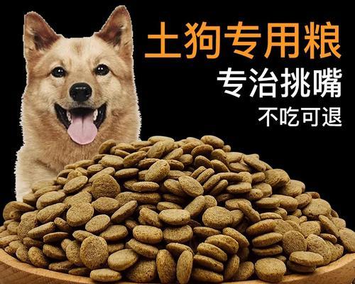 纯种狗狗吃什么狗粮既好消化又有营养？