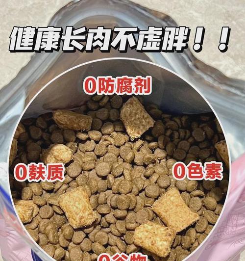 猫不进食，可以喂驱虫药还是猫粮？