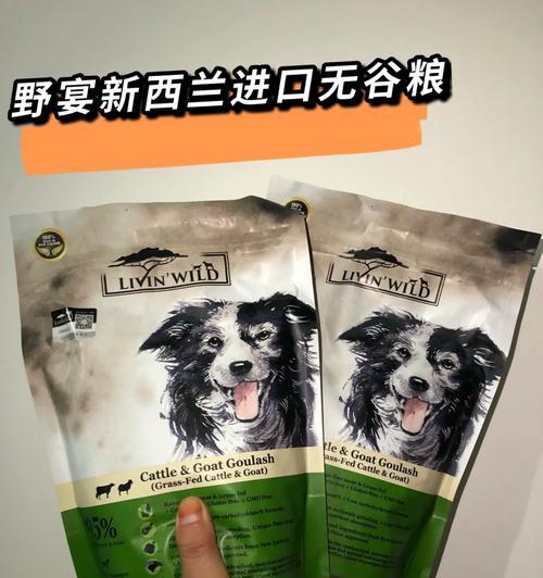 狗子分娩后多久可以开始喂食狗粮？