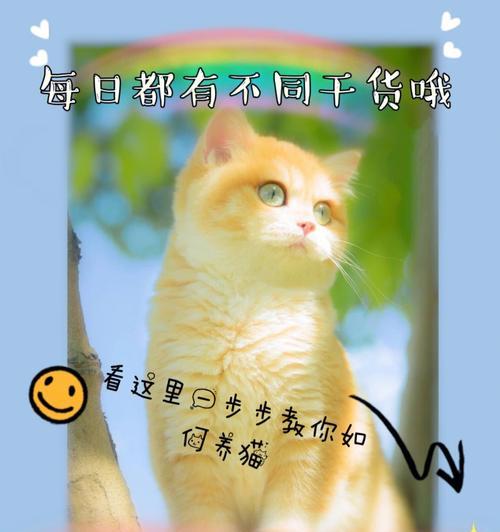 猫换粮后大便不成形是正常现象吗？