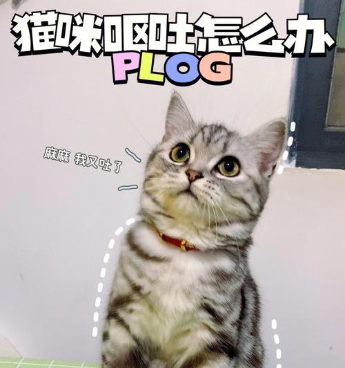 猫换粮大便不成形正常吗？如何帮助猫咪恢复？