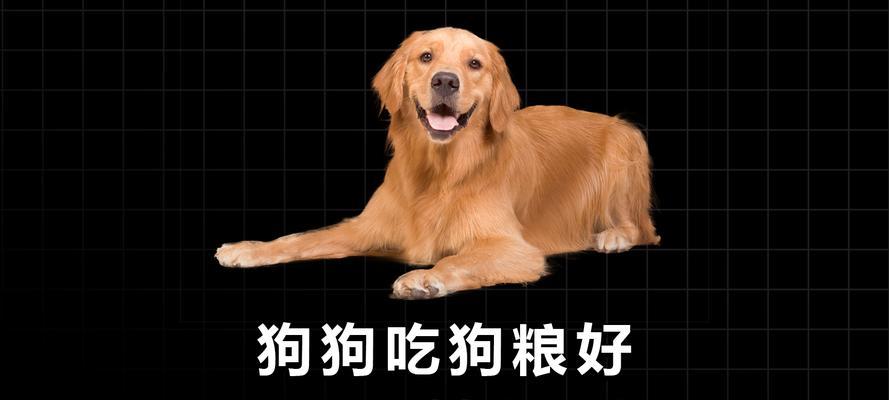 狗狗吃蛋黄应该直接喂还是混在狗粮中？