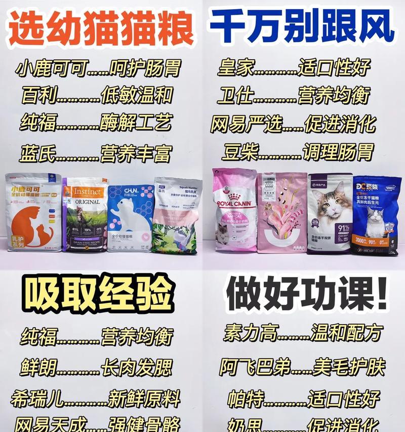 幼猫拒食猫粮：可替代的喂食选择？