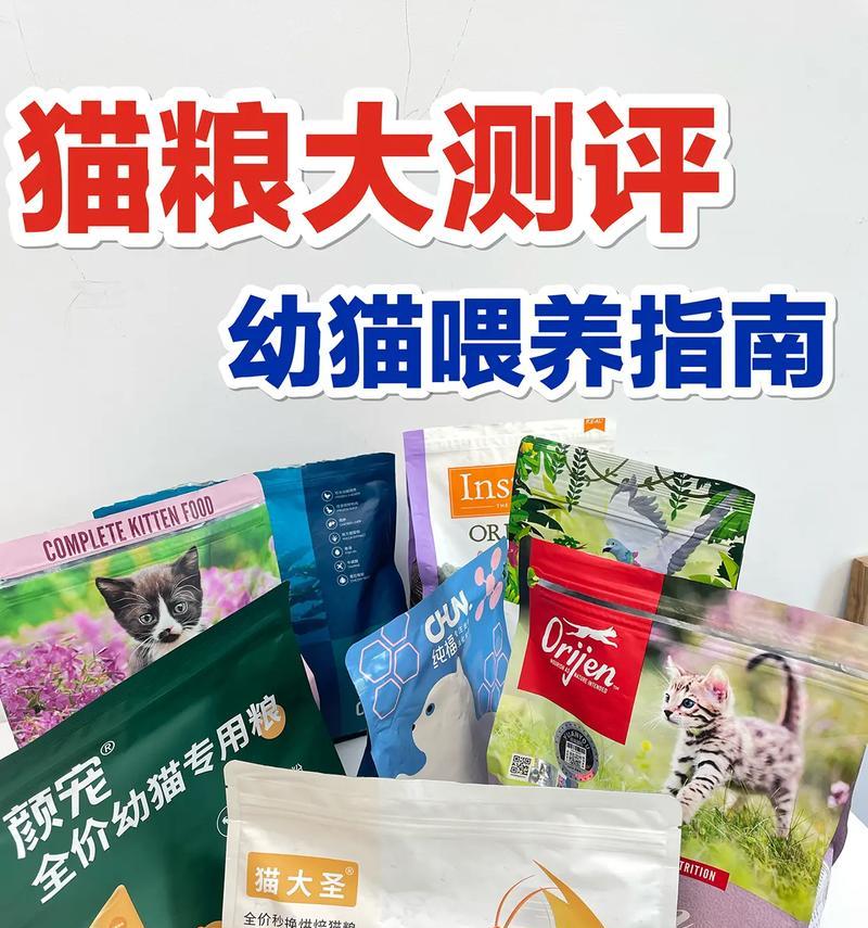 幼猫拒食猫粮：可替代的喂食选择？