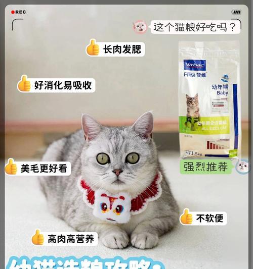 幼猫呕吐后应如何选择合适的猫粮？