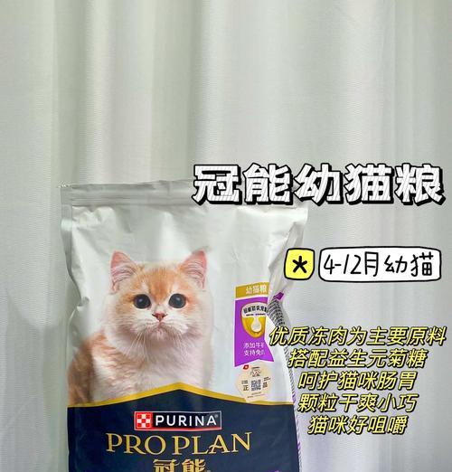 幼猫呕吐后应如何选择合适的猫粮？